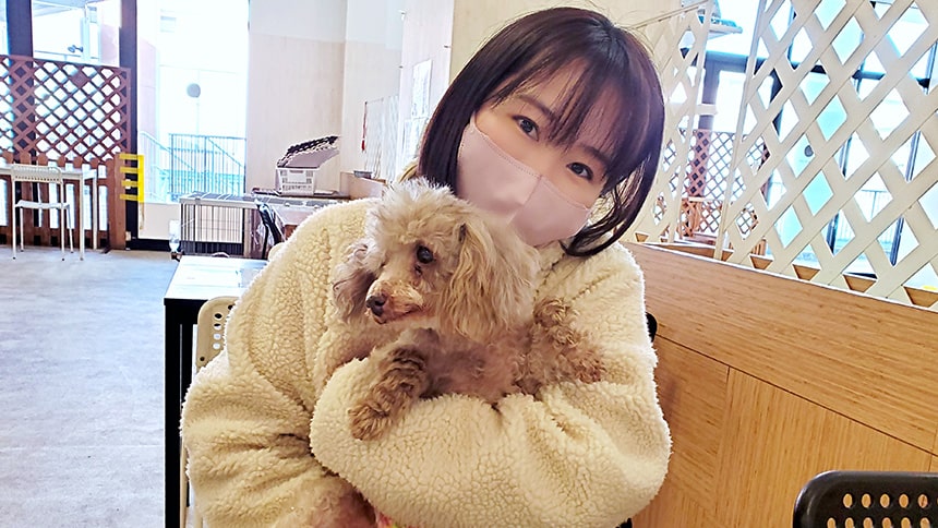 水野友貴の動物愛護の政策実績